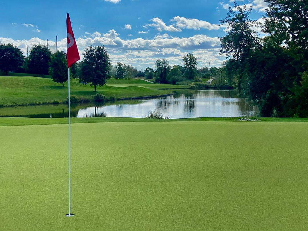 PUTTING GREEN TURF 78 - gz4jmz32g7w1tvvch1pc@2x.jpg
