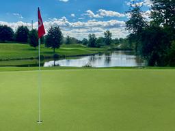 PUTTING GREEN TURF 78 - gz4jmz32g7w1tvvch1pc@2x.jpg