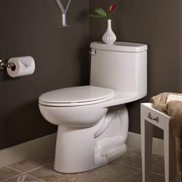Cadet 3 Elongated Compact One-Piece Toilet with EverClean Surface and Right Height Bowl - Includes Slow-Close Seat - gzobeyejlhggwuqe9p8h_x500.jpg