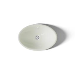 Iron Plains 20-3/4"L Cast Iron Drop-In Semi-Vessel Sink with Overflow and Black Painted Underside - h1zhuqt9kspmdg2dqgva@2x.jpg