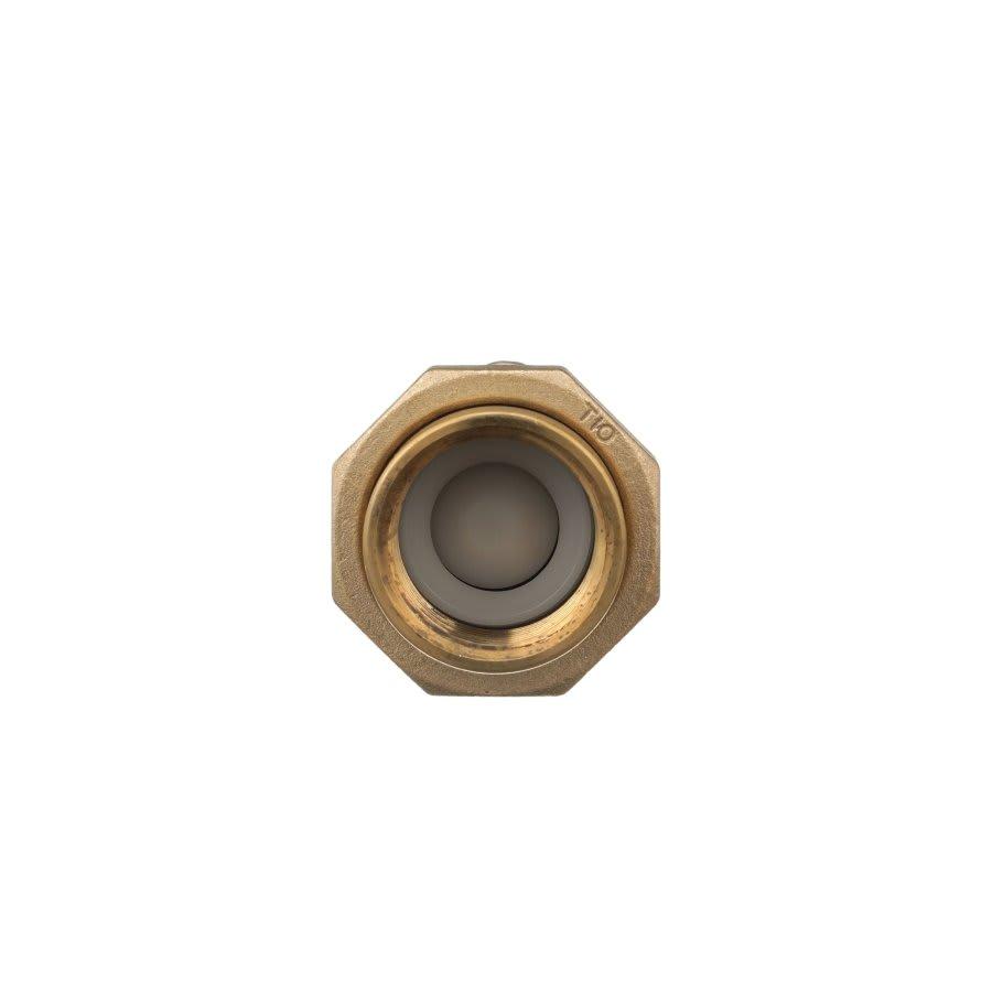 700XL Reduced Pressure Backflow Preventer, 1 in, FNPT Union x FNPT, Bronze - h32mal227qacpzzpilpd@2x.jpg