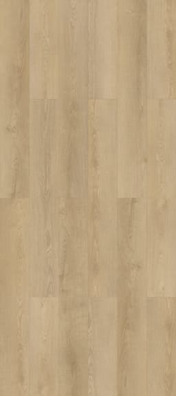 Tribeca - h5wnw4jmnof6bs5a0kqr@2x.jpg