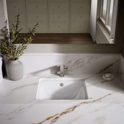 Iron Plains 18-9/16" Drop In Enameled Cast Iron Bathroom Sink with Overflow - h65ote6ijuephebkg0un@2x.jpg