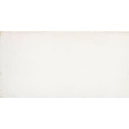 COGENT WHITE 16X31 - h7dsepitzbg9byy2ngy7@2x.jpg