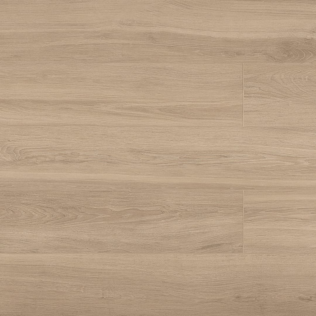 Arrowhead 10x60 Honey - h8fvgvkp2av3jsjlzlff@2x.jpg