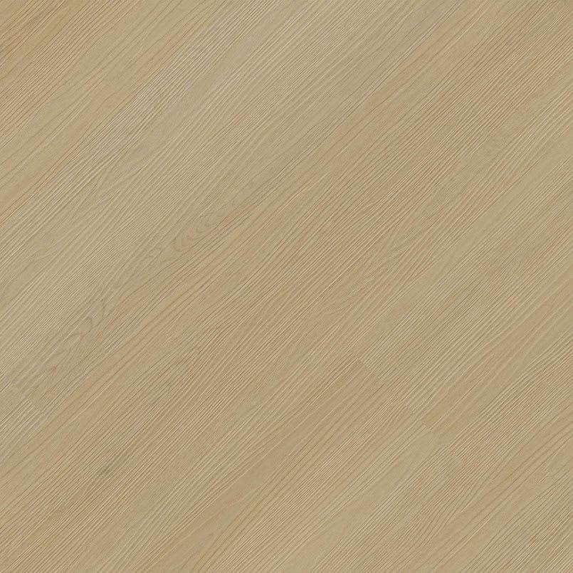 Laurel Palmilla - h9j4heopvdpyl3yifnoe@2x.jpg