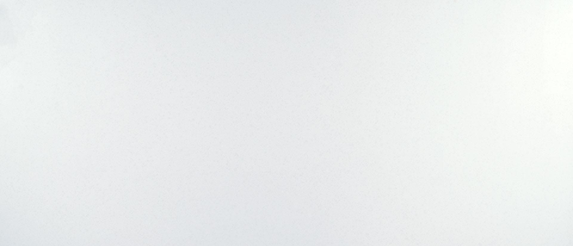 Calico White - haotkvajrw3ojkxwyw4l@2x.jpg