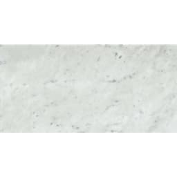 MARBLE BIANCO GIOIA HN 12X24 - hbtazi1h5yzlo4zxkitt@2x.jpg