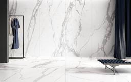 Omnia Statuario - hcsx7n6isjpwweh7hglu_x500.jpg