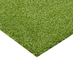 PUTTING GREEN TURF 78 - hcuwdnrnctohsguxxvqx@2x.jpg