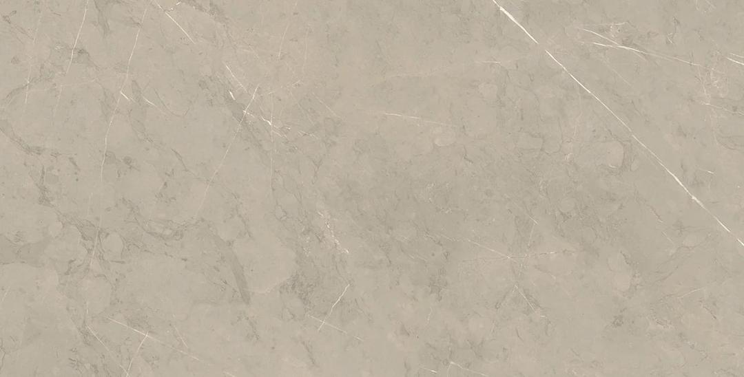PIASENTINA SILVER PO 12X24 R - hebejsl7svvtk3ujwhbw@2x.jpg