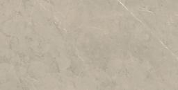 PIASENTINA SILVER PO 12X24 R - hebejsl7svvtk3ujwhbw@2x.jpg