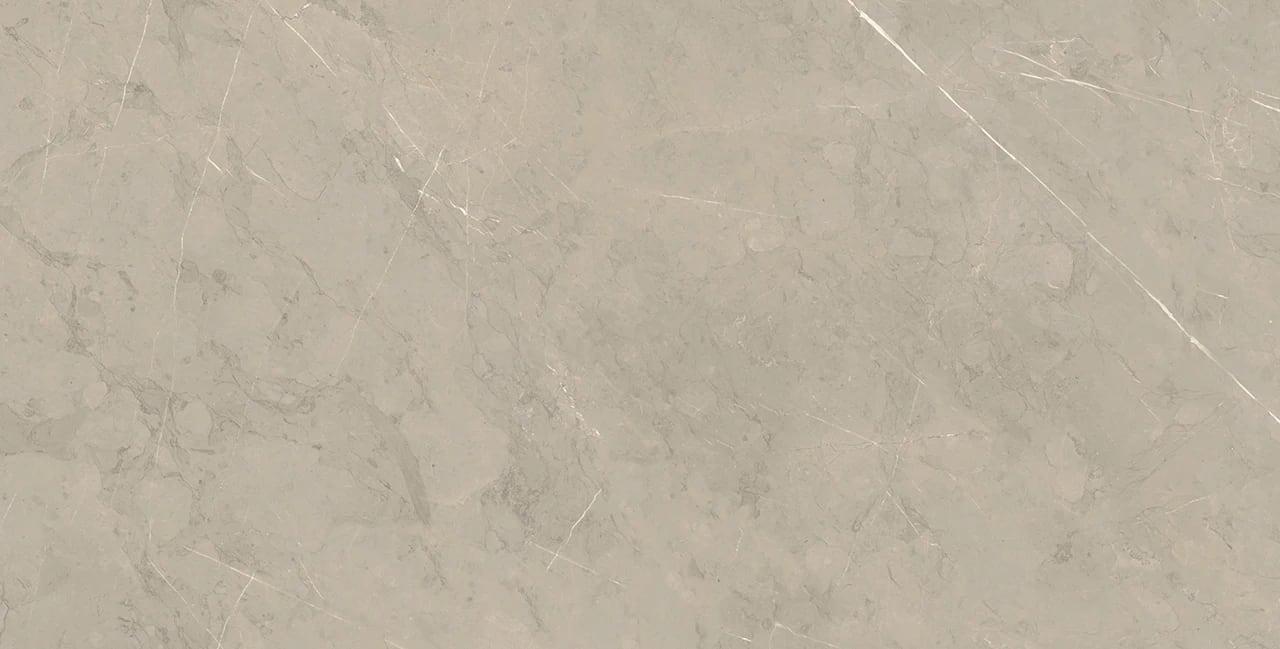 PIASENTINA SILVER PO 12X24 R
