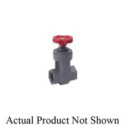 Spring Check Valve, 3/4 in, FNPT, PVC - hfeuxz3ujpkoaulstznu@2x.jpg