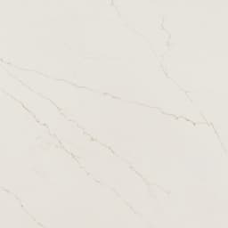 Lincoln Gold - hfs7rycdml0jj0aau014@2x.jpg