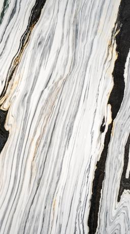 Bianco Covelano - hgbkcbedkdykphohlsjj@2x.jpg