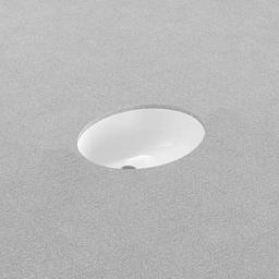 Comstock 17" Oval Vitreous China Undermount Bathroom Sink with Overflow - hhbg2ykicqmgswixcxbl@2x.jpg
