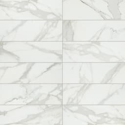 Platinum Magnolia Rectangle 12X24 Matte - hk13mplp5iojrfiakq9y@2x.jpg