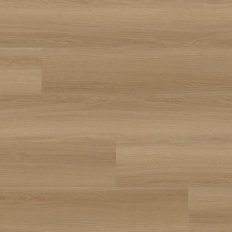 Laurel Cabana - hknoe0bezfc9ma5quawo@2x.jpg