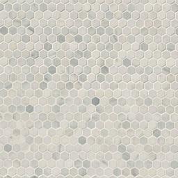 Arabescato Carrara 1" Hexagon Mosaic Tile - hkx5dn2pvsh1m4uijkfo@2x.jpg