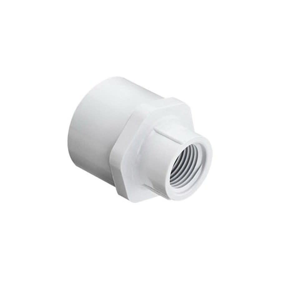 Female Adapter, 1/2 x 3/4 in, Socket x FNPT, SCH 40/STD, PVC - hmjctrfxis700bvkhamh@2x.jpg
