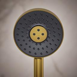 Statement 2.5 GPM Multi Function Hand Shower with MasterClean Sprayface and Katalyst Air Induction Technology - hn81vzjx5hpwwses45o6@2x.jpg