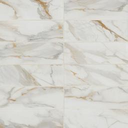 Calacatta Gold Matte Subway Tile - hoeqhutv2vuyqocko8jq@2x.jpg