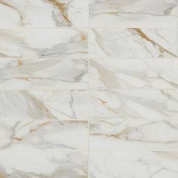 Calacatta Gold Matte Subway Tile - hoeqhutv2vuyqocko8jq_x500.jpg