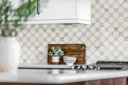 Vera Anne Pattern Polished - hqsst2xnxcedtlkkpfrb@2x.jpg