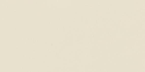 Color Wheel Classic Almond Rectangle, Bevel 3X6 Glossy