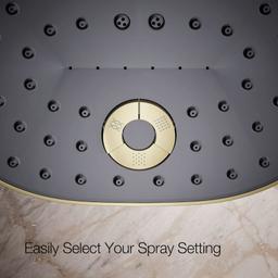 Statement 2.5 GPM Multi Function Shower Head with MasterClean Sprayface and Katalyst Air Induction Technology - hrvveodpj7fa5cnbnpqy@2x.jpg