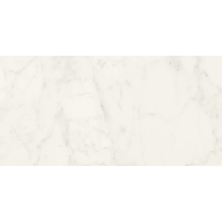DYNAMIX ADUCCI BIANCO MT 12X24 Limited Availability - ht81fofk81nlbre3hgxc@2x.jpg