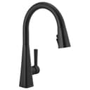 Lenta Single-Handle Pull-Down Kitchen Faucet with ShieldSpray - htumobfruvy0xwloipaj@2x.jpg