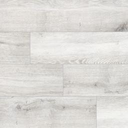 Antoni Platinum - hx8yfem5jnu0ridtejzs@2x.jpg