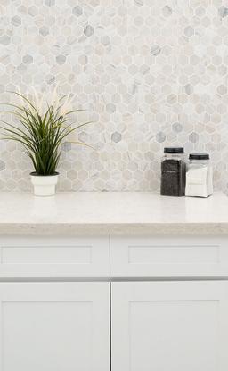 Angora Polished 2" Hexagon Mosaic Tile - hxshycvwvygyle5mlkti@2x.jpg
