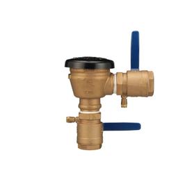 Vacuum Breaker, 2 in, FNPT, Bronze - hy2ercatpb1q90s2ohdb@2x.jpg