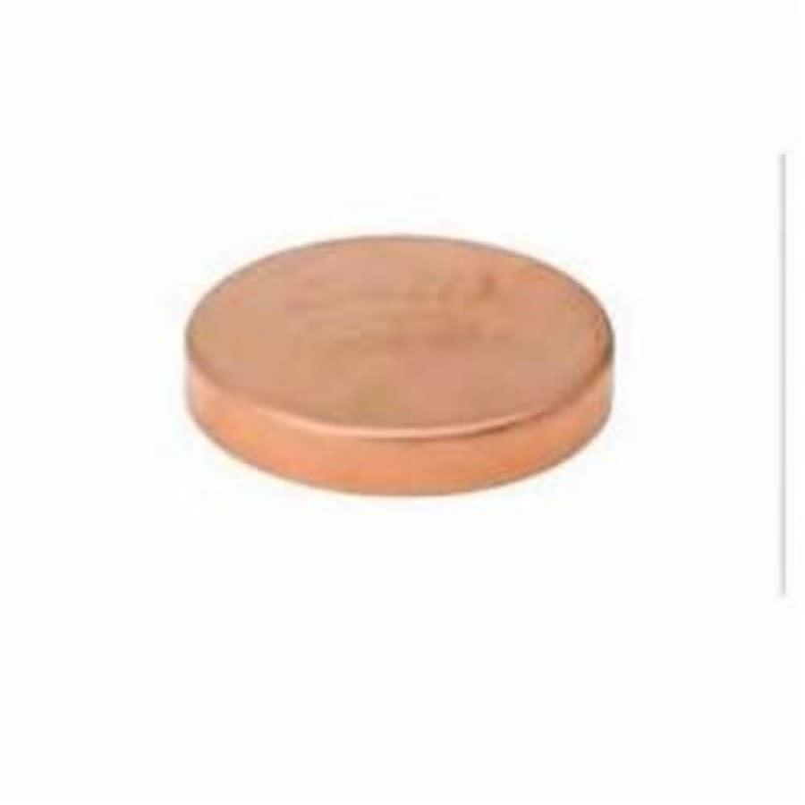 Test Cap, 3/4 in, C, Copper - hzjjqz1tcjaoyjxbwkxz@2x.jpg