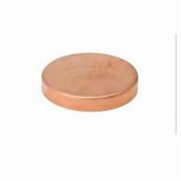 Test Cap, 3/4 in, C, Copper - hzjjqz1tcjaoyjxbwkxz@2x.jpg