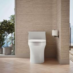 San Souci 1.28 GPF One Piece Elongated Toilet with Left Hand Lever - i8abqyslfuzq2gmhbdzu@2x.jpg