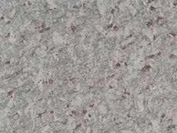 Moon White Granite - i8lvchzdxfteclrm4dlk@2x.jpg