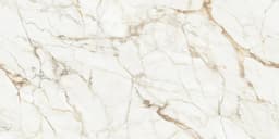 Calacatta Gold Nature - ibhvrgo4gki3jdrwgezx@2x.jpg