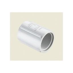 Coupling, 1 in, FNPT, SCH 40/STD, PVC - idpz9jz2vtlrb9dibazn@2x.jpg