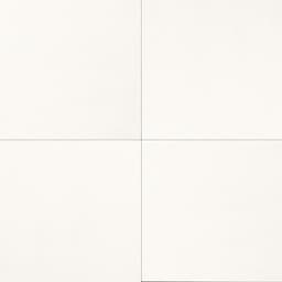 Marble Thassos White Square 12X12 Honed - iibhll4vgzk5n7eokzjf@2x.jpg