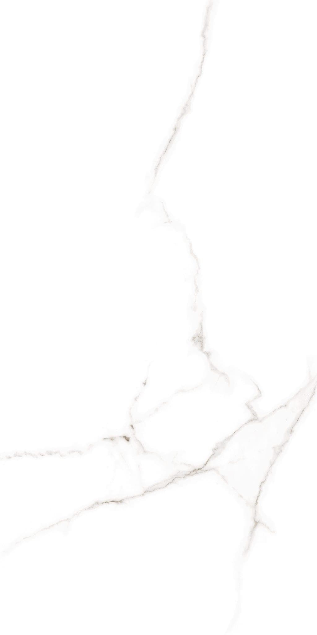 Atlantic White - iitsucaejklorzp8ihpj@2x.jpg