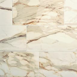 Panoramic Duet Calacatta Topaz Rectangle 12X24 Polished - iiuh9rev9tfmba0fzq7p@2x.jpg