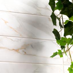 Calacatta Gold Matte Subway Tile - iluunusiuggstulrmz3m@2x.jpg