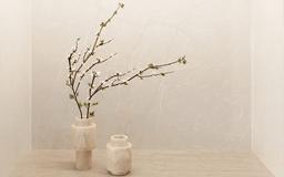 Taj Crema - inm3jabqdtxaobpw2tdf@2x.jpg