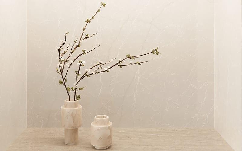 Taj Crema - inm3jabqdtxaobpw2tdf@2x.jpg