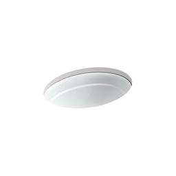 Serif® Under Mount Lavatory Sink, ADA, 20-5/8 x 15-1/4 x 8-7/16 in, Cast Iron, White - ipgrkyyegdyq6qimdvbt_800x500@2x.jpg