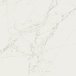 Calacatta Cathedral - iqr70jxvwxrxapl2dir6@2x.jpg